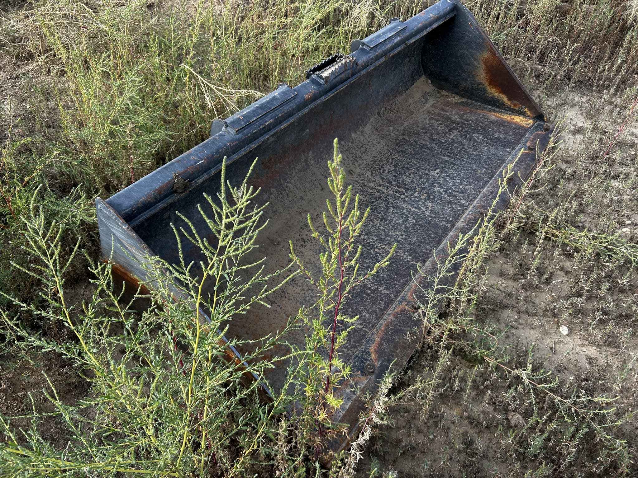 Slide Image