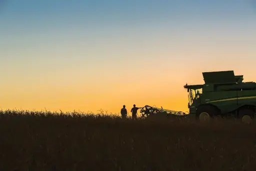 HARVEST TERMS™