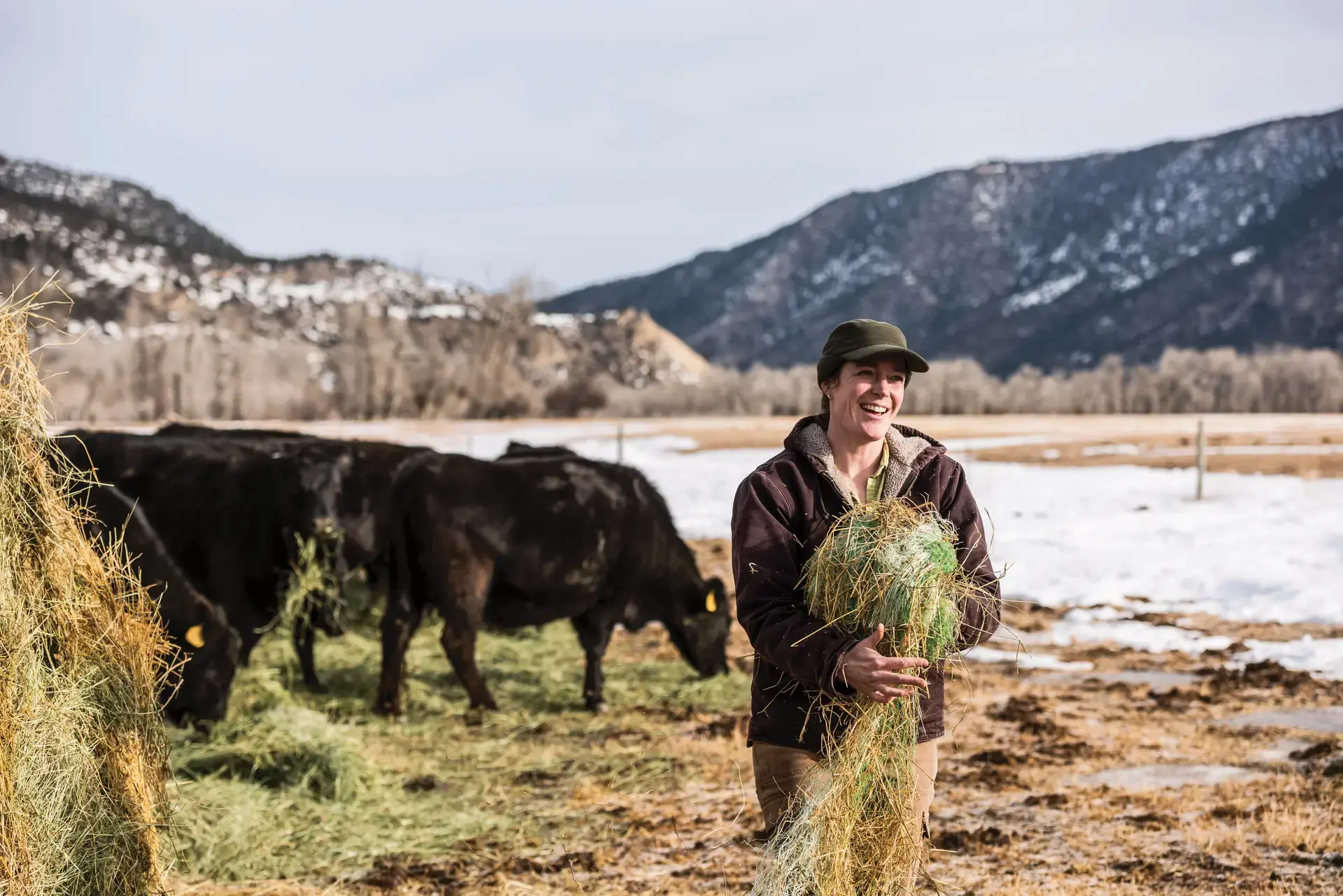 Financing and Leasing Options